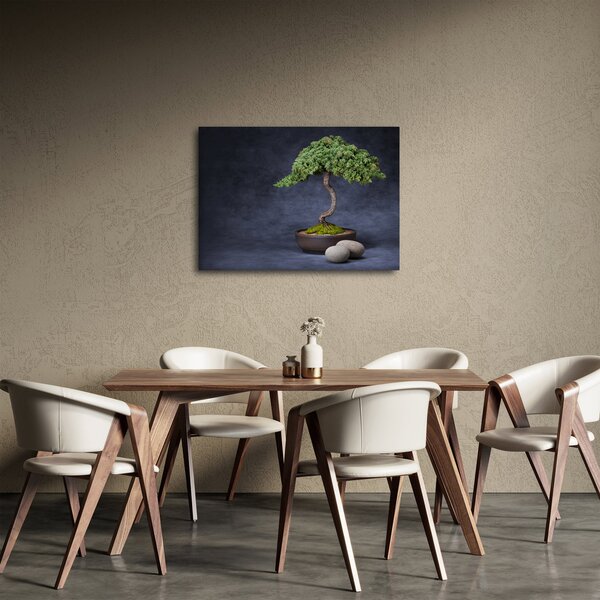 Kép - Bonsai (70x50 cm)