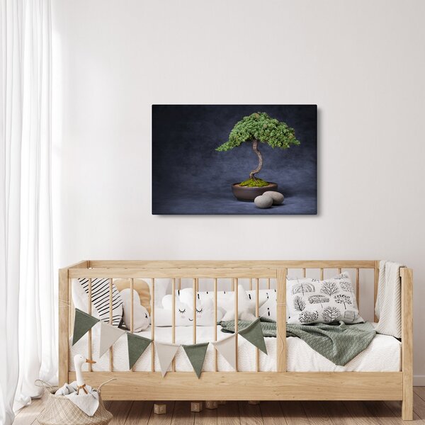 Kép - Bonsai (90x60 cm)