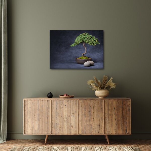 Kép - Bonsai (70x50 cm)