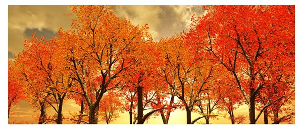 Kép - Ősz (120x50 cm)