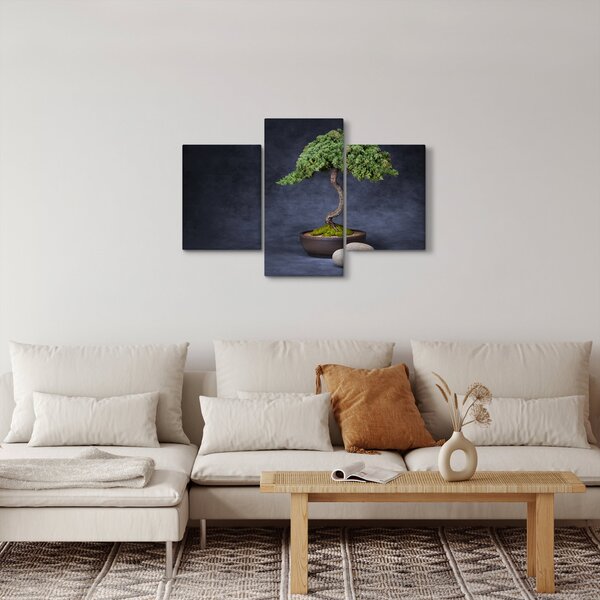 Kép - Bonsai (90x60 cm)