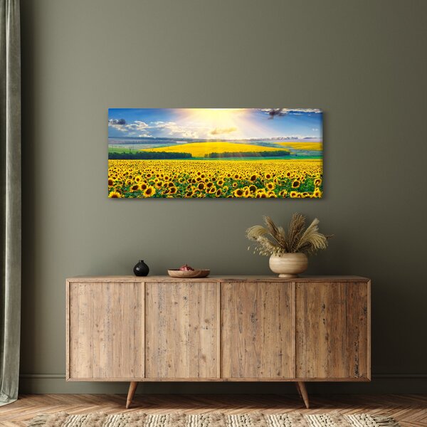 Kép - Napraforgó mező (120x50 cm)
