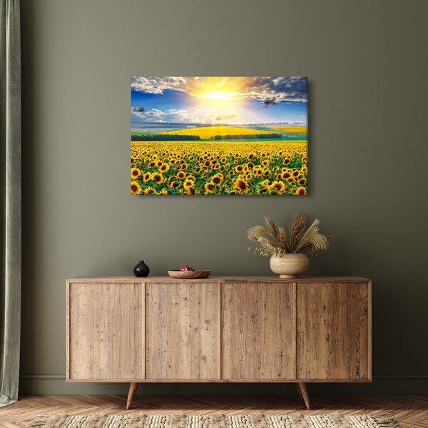 Kép - Napraforgó mező (90x60 cm)