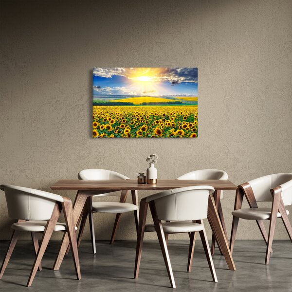 Kép - Napraforgó mező (90x60 cm)