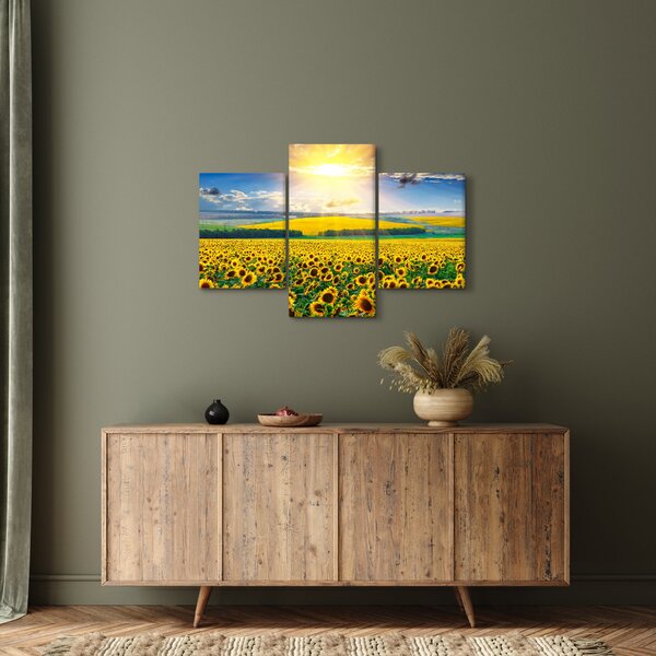 Kép - Napraforgó mező (90x60 cm)