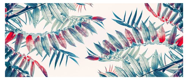 Kép - Trópusi levelek (120x50 cm)
