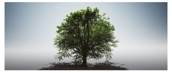 Kép - Magányos fa (120x50 cm)
