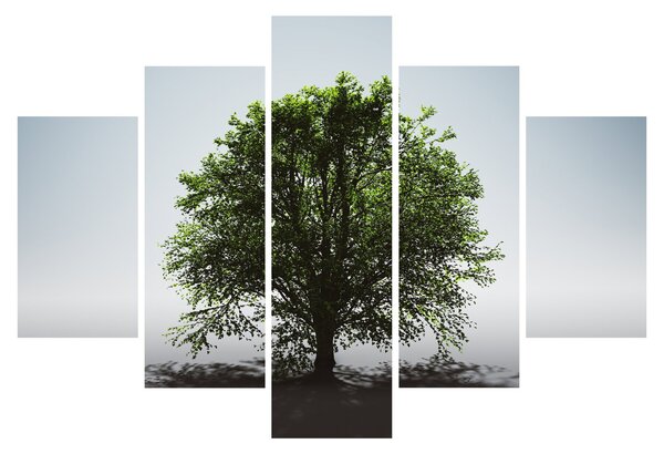 Kép - Magányos fa (150x105 cm)