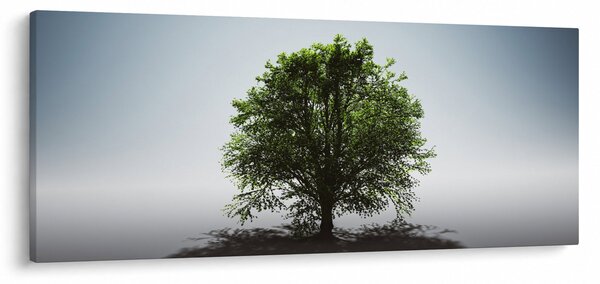 Kép - Magányos fa (120x50 cm)