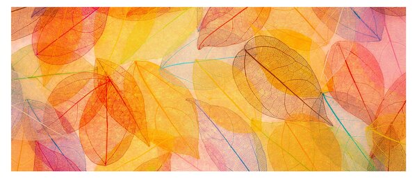Kép - Háttér az őszi levelekből (120x50 cm)