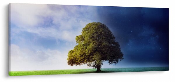 Kép - Éjjel - nappal (120x50 cm)