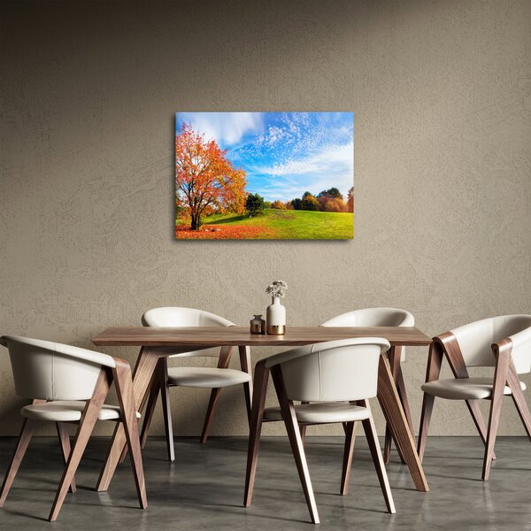 Kép - Őszi táj (70x50 cm)