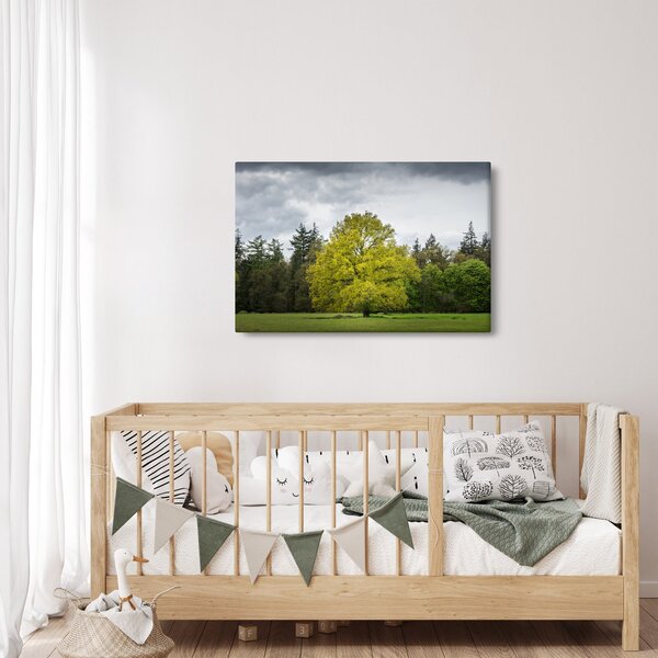 Egy zöld fa képe a mező közepén (90x60 cm)