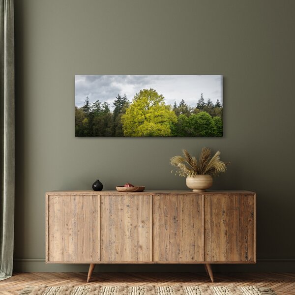 Egy zöld fa képe a mező közepén (120x50 cm)