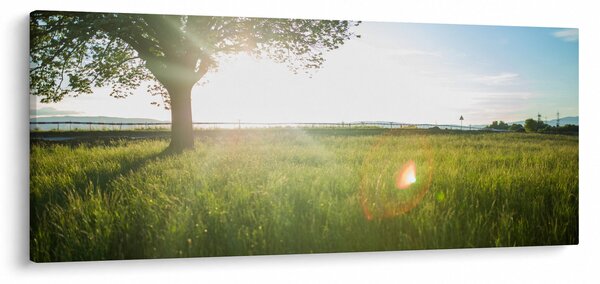 Egy fa képe a mezőn (120x50 cm)