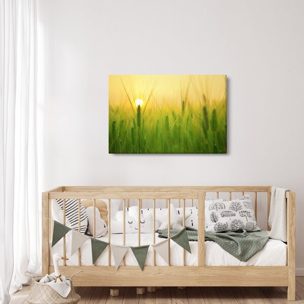 Kép - Mező gabonával (90x60 cm)