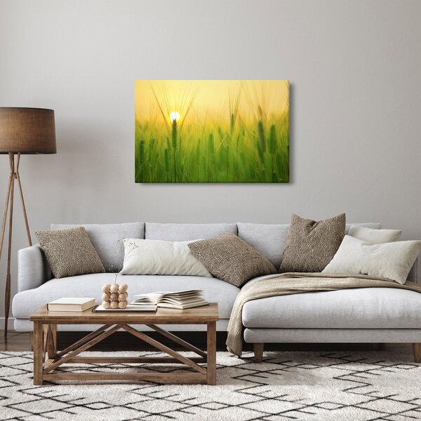 Kép - Mező gabonával (90x60 cm)