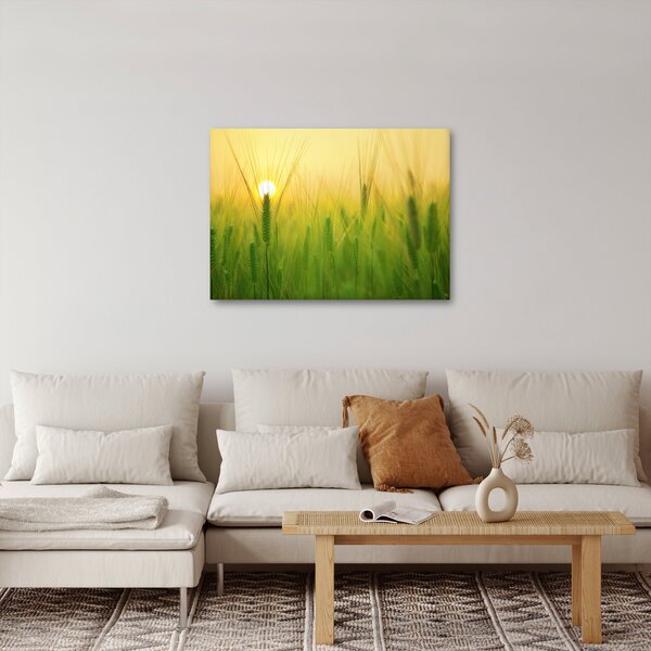 Kép - Mező gabonával (70x50 cm)