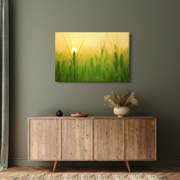 Kép - Mező gabonával (90x60 cm)