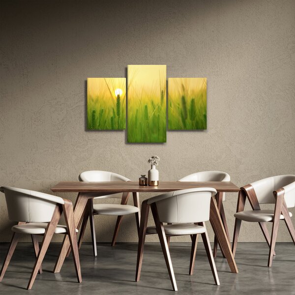 Kép - Mező gabonával (90x60 cm)