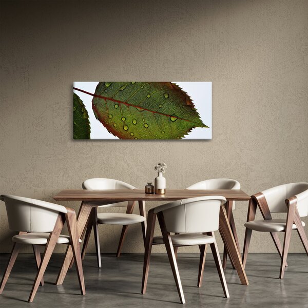 Kép - Rózsalevél (120x50 cm)