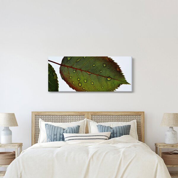 Kép - Rózsalevél (120x50 cm)