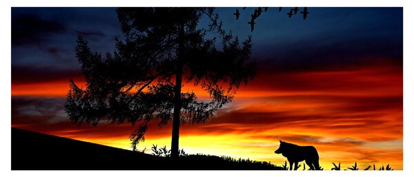 Kép - Farkas sziluettje (120x50 cm)