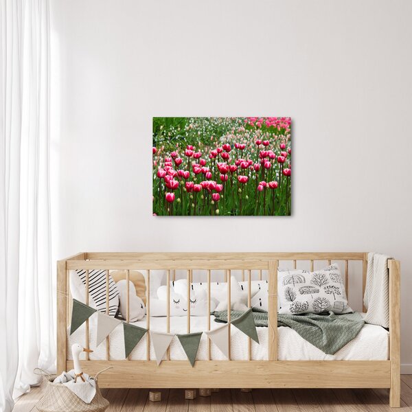 Tulipán képe (70x50 cm)