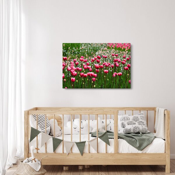 Tulipán képe (90x60 cm)