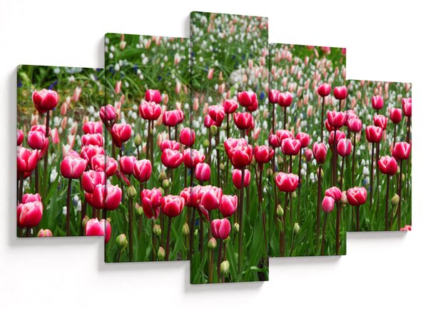 Tulipán képe (150x105 cm)