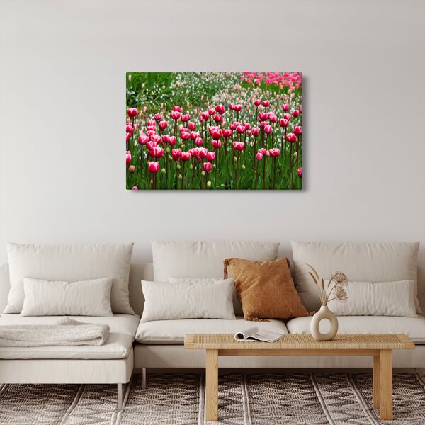 Tulipán képe (90x60 cm)