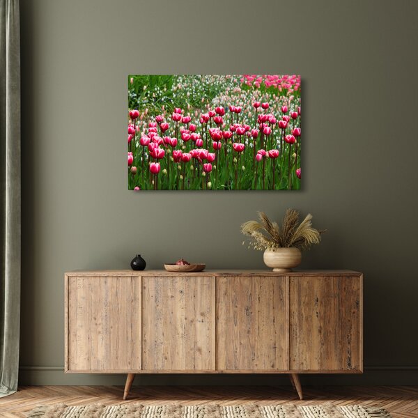 Tulipán képe (90x60 cm)