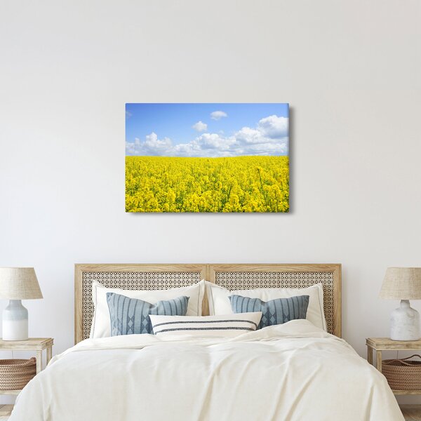Egy sárga mező képe (90x60 cm)
