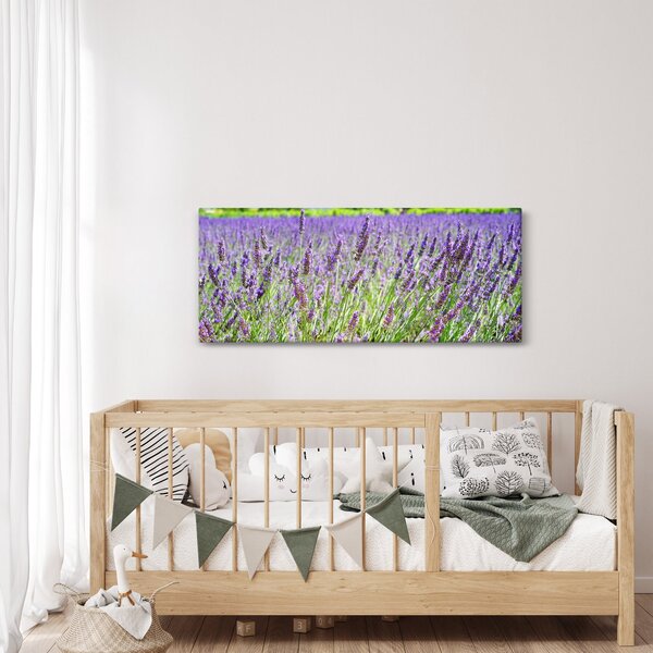 Egy mező képe a levendulával (120x50 cm)
