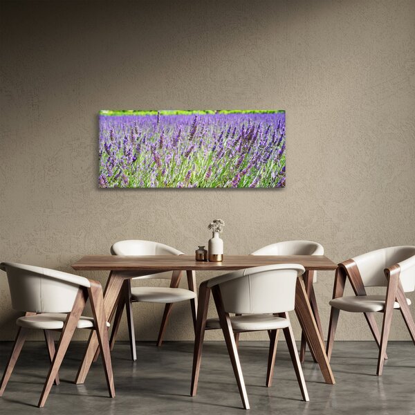 Egy mező képe a levendulával (120x50 cm)