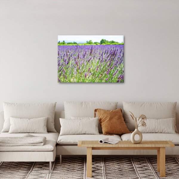 Egy mező képe a levendulával (70x50 cm)