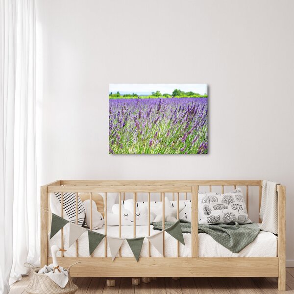 Egy mező képe a levendulával (70x50 cm)