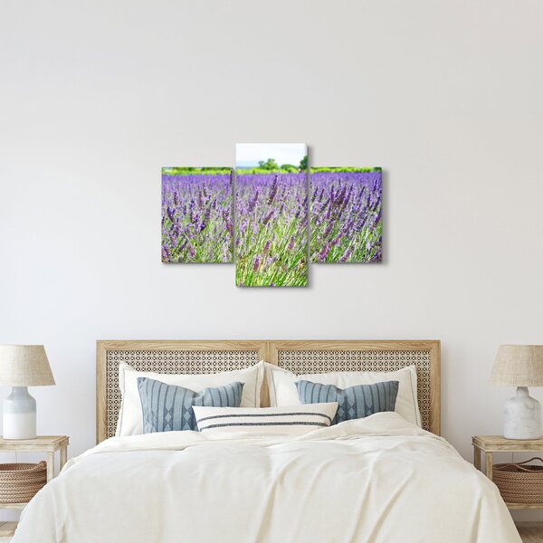 Egy mező képe a levendulával (90x60 cm)