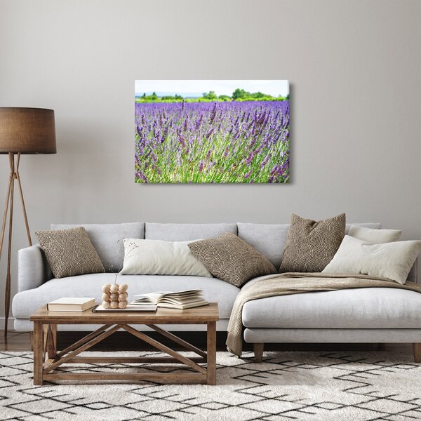 Egy mező képe a levendulával (90x60 cm)