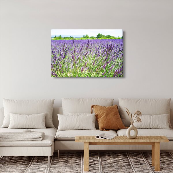 Egy mező képe a levendulával (90x60 cm)