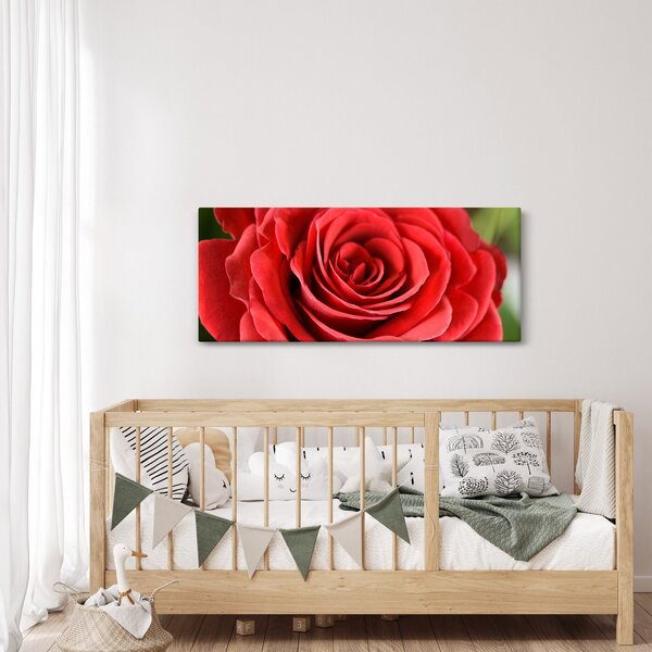 Egy rózsa virág képe (120x50 cm)