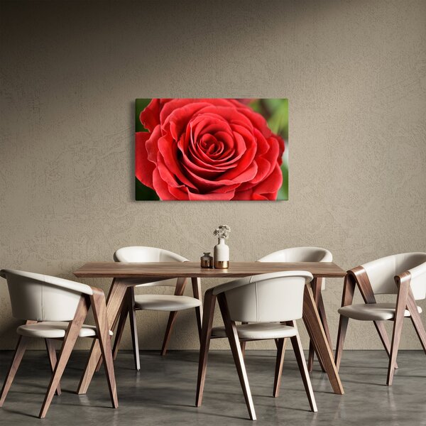 Egy rózsa virág képe (90x60 cm)