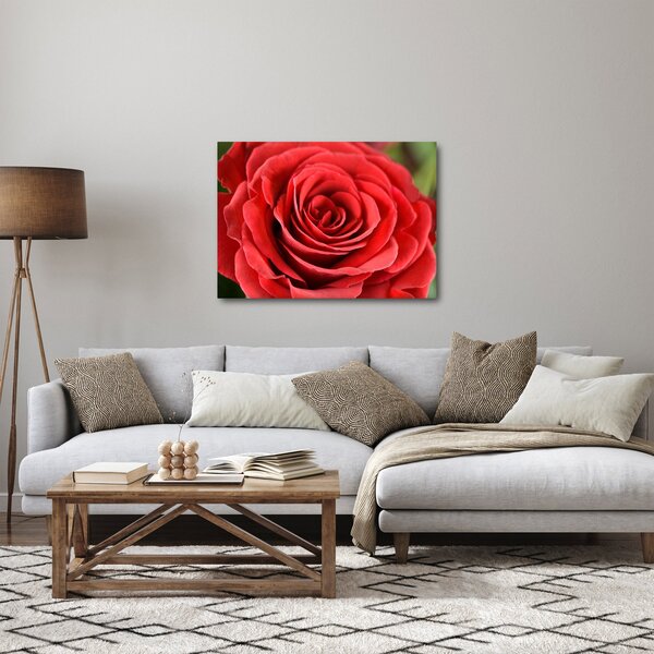 Egy rózsa virág képe (70x50 cm)
