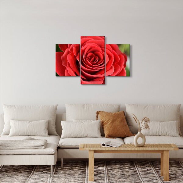 Egy rózsa virág képe (90x60 cm)