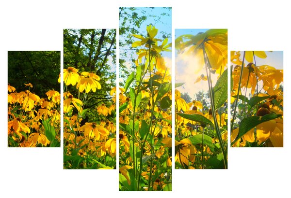 Sárga virágok képe (150x105 cm)