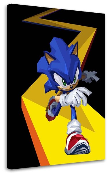 Gario Vászonkép Sonic - Nikita Abakumov Méret: 40 x 60 cm