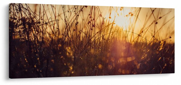 A mező képe naplementekor (120x50 cm)