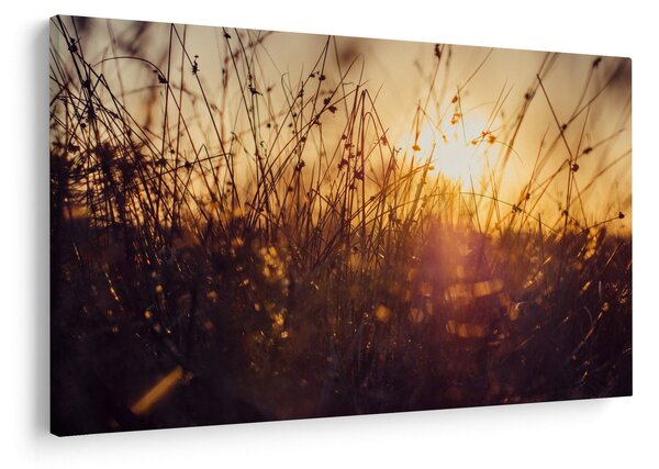A mező képe naplementekor (90x60 cm)