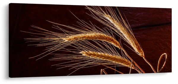 Kép - Rozsfül részlete (120x50 cm)