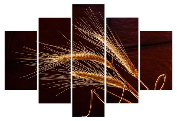 Kép - Rozsfül részlete (150x105 cm)